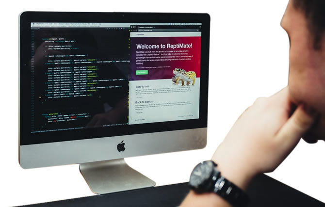 Diseño web responsive